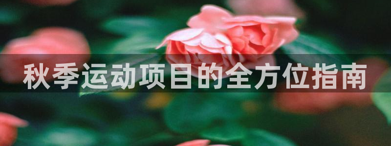 必发集团官网平台