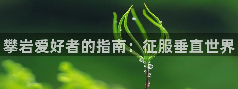 7790必发集团网址