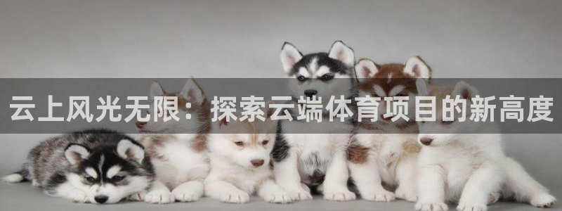 必发BIFA官方网站|云上风光无限：探索云端体育项目的新高度