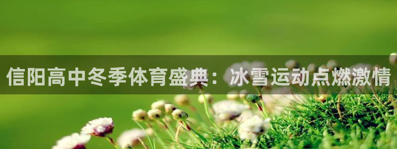 bifa必发