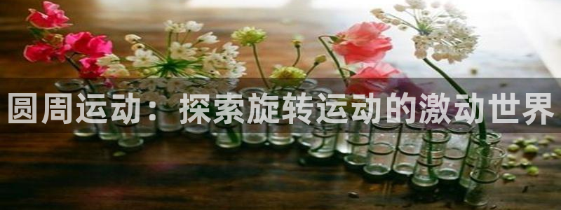 必发888唯一官网|圆周运动：探索旋转运动的激动世界