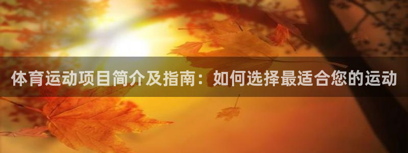必发集团官方网站