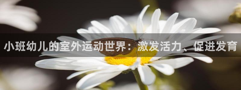 香港必发集团|小班幼儿的室外运动世界：激发活力、促进发育