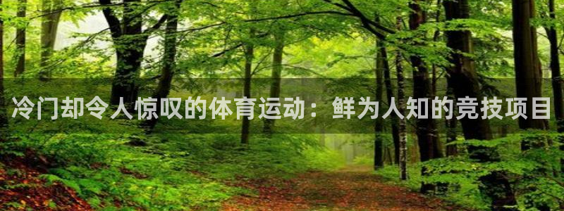 必发7790集团所有网站|冷门却令人惊叹的体育运动：鲜为人知
